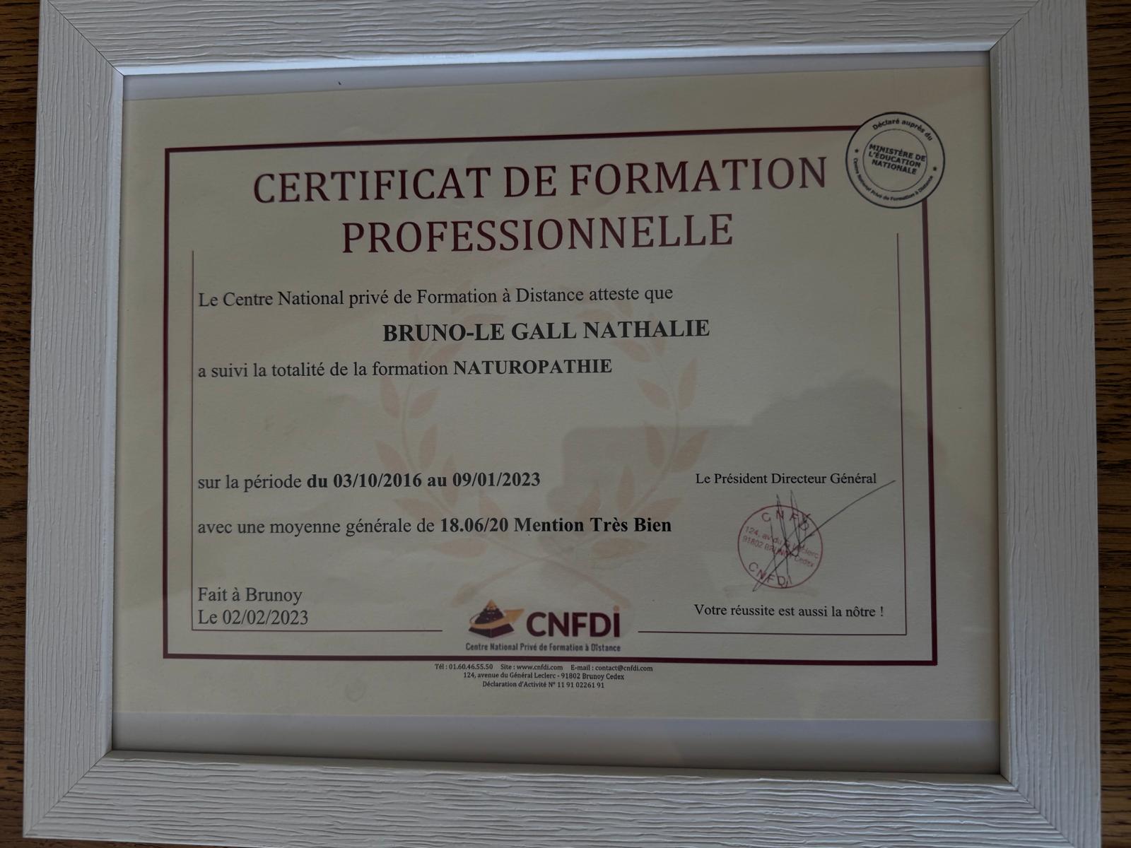 Naturopathie – image 1